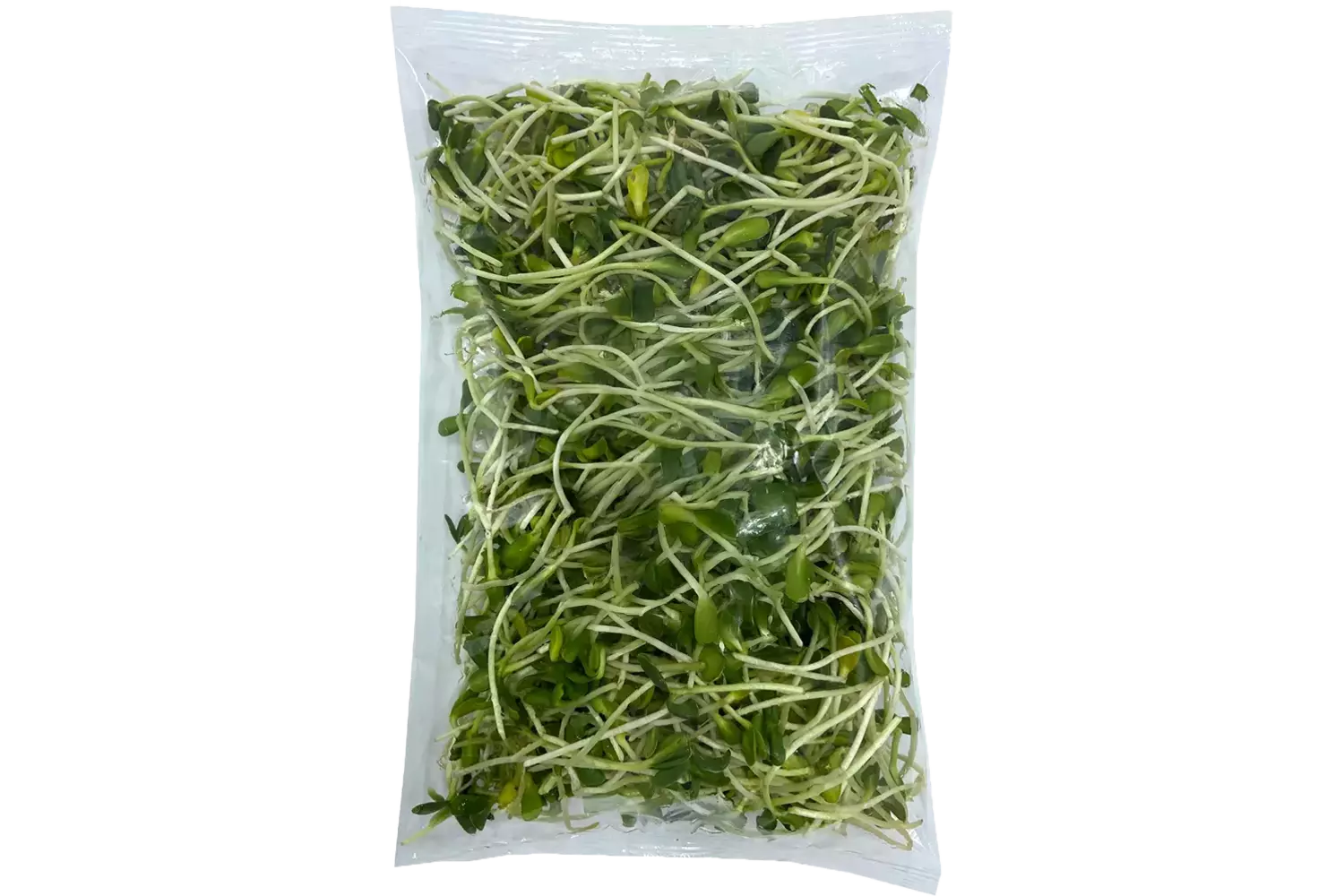 Zonnebloem kiemen 250gr stuk 1